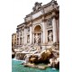 TREVI