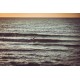 SUNSET SURFERS