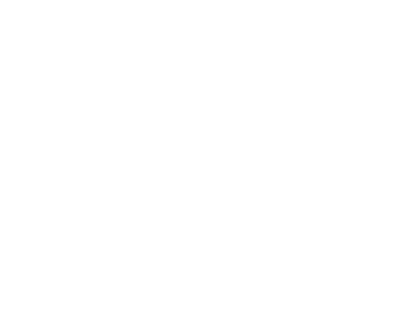 HAPPICS